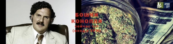 ПСИЛОЦИБИНОВЫЕ ГРИБЫ Вяземский