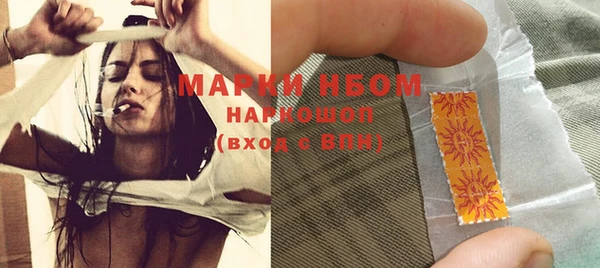 ПСИЛОЦИБИНОВЫЕ ГРИБЫ Вяземский