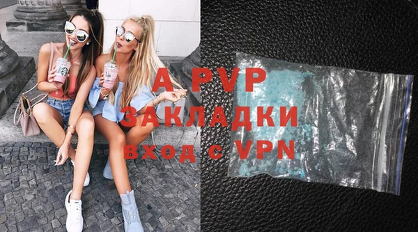 ПСИЛОЦИБИНОВЫЕ ГРИБЫ Вяземский