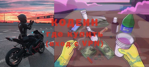 ПСИЛОЦИБИНОВЫЕ ГРИБЫ Вяземский