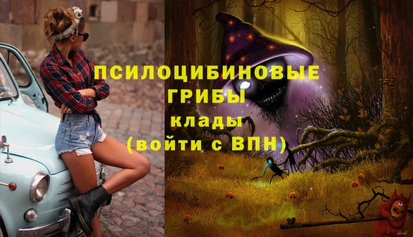 а пвп мука Вязьма