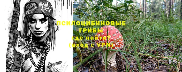 ПСИЛОЦИБИНОВЫЕ ГРИБЫ Вяземский