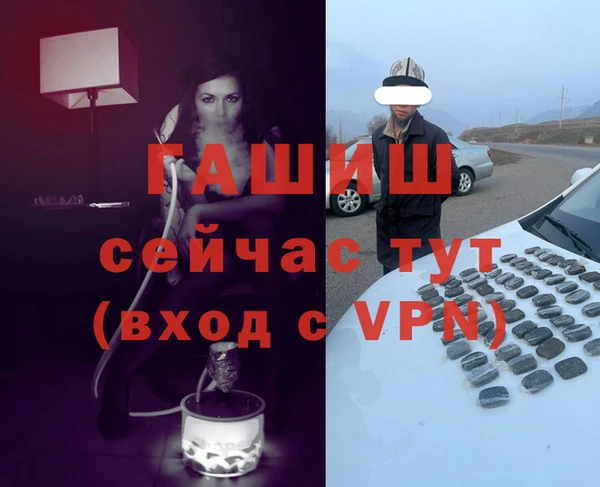 ПСИЛОЦИБИНОВЫЕ ГРИБЫ Вяземский
