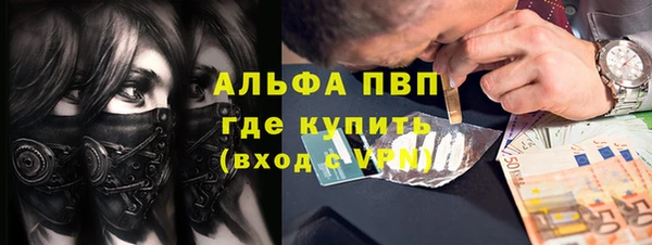 ПСИЛОЦИБИНОВЫЕ ГРИБЫ Вяземский