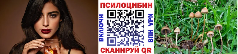 Псилоцибиновые грибы ЛСД  Купить где  Партизанск 